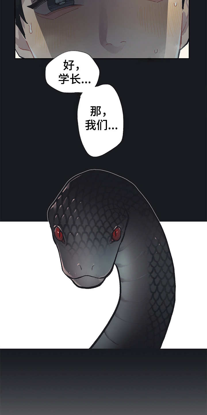 惹祸上身漫画,第19章：毒蛇2图