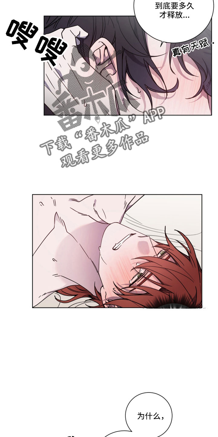 太子的恶趣味漫画,第41章：真好看1图