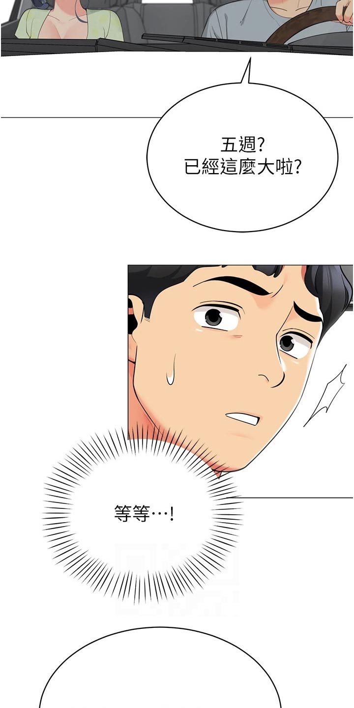 露营最佳时候漫画,第65章：怀孕2图