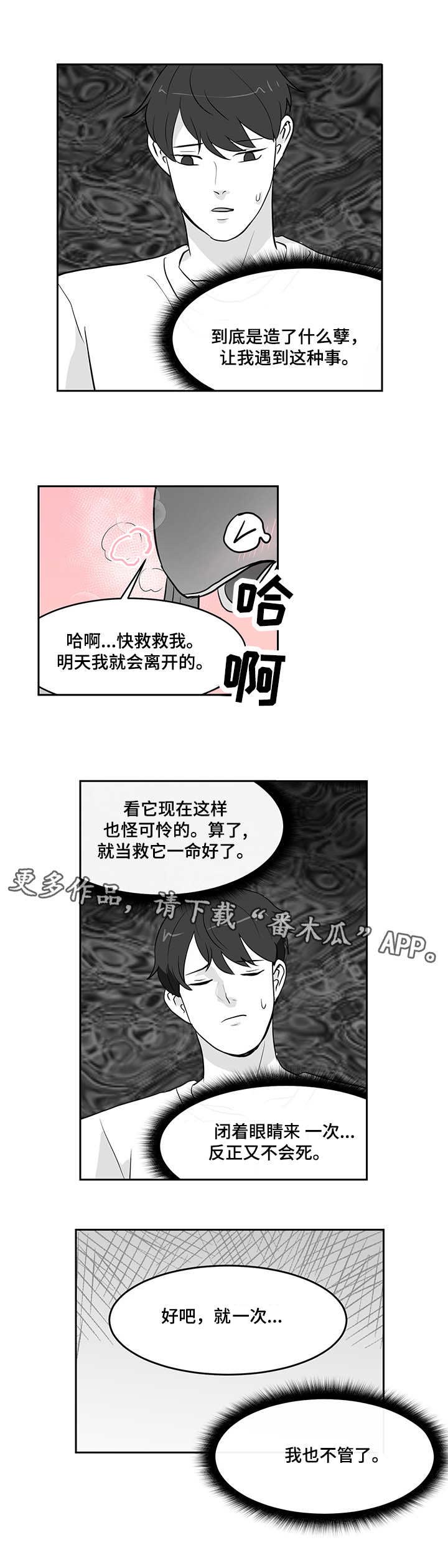 六盒宝典官方正版下安装漫画,第15章：心软1图