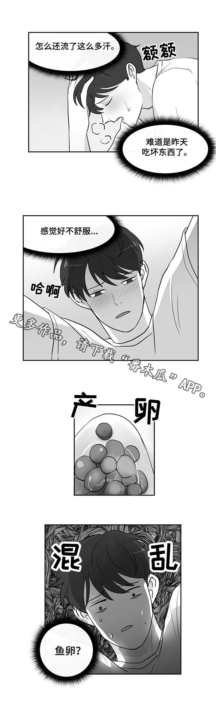 三合和六个合生肖是什么意思漫画,第16章：鱼卵2图