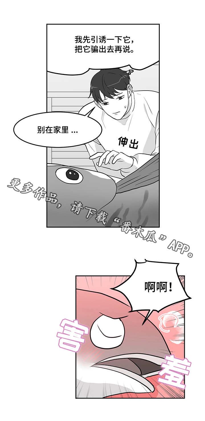 六合一网站靠谱吗漫画,第14章：青花鱼2图