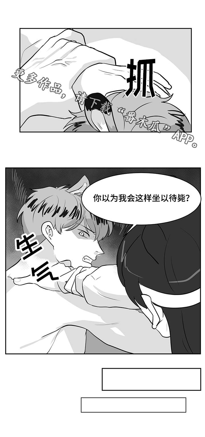 新六6合社区资料下载app漫画,第23章：教导1图