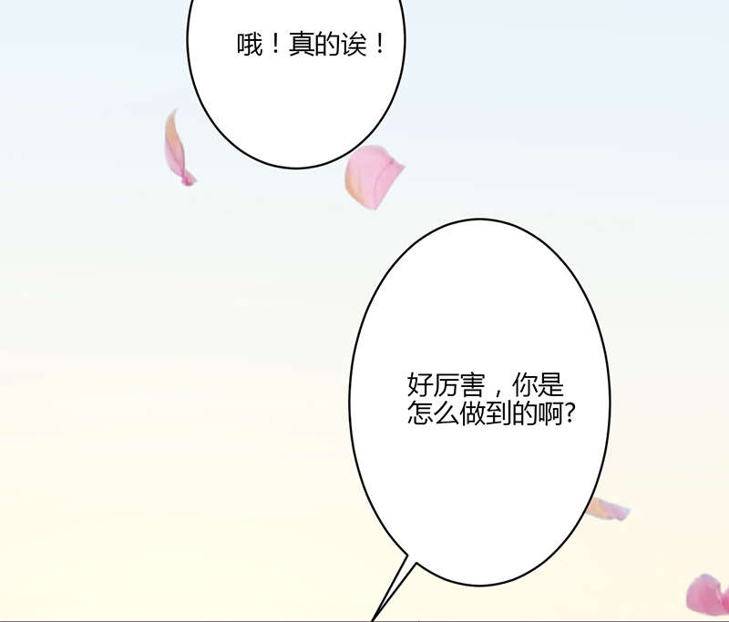 书中觅清凉阅读理解答案及感受漫画,第17章：拍照1图