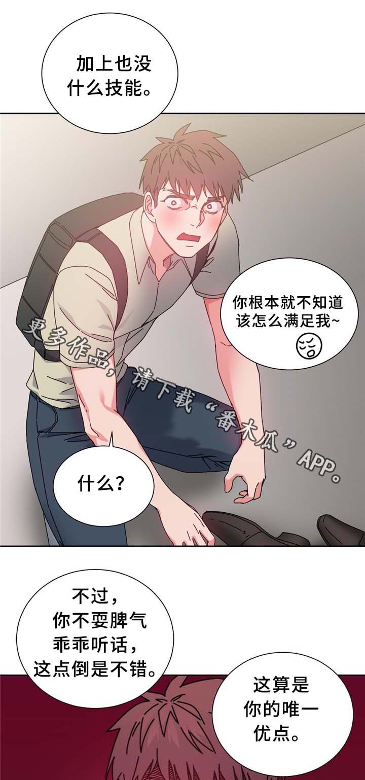 缆绳结漫画,第74章：南根吗?!1图