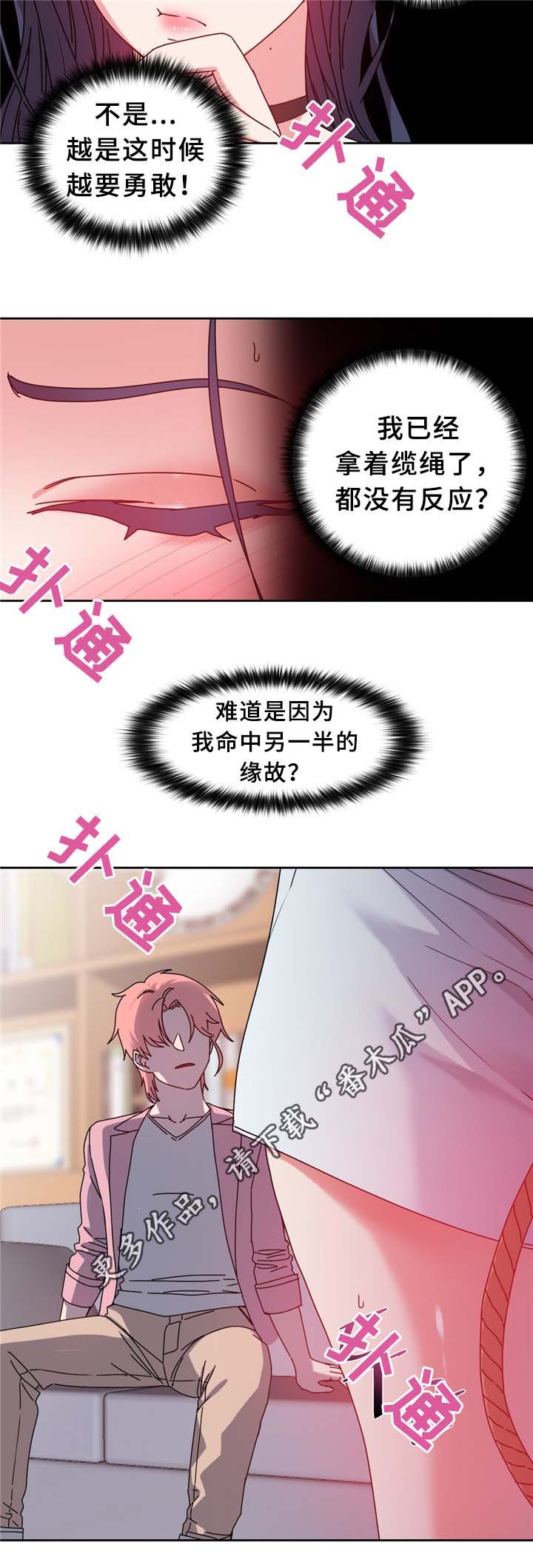 缆绳价格漫画,第68章：命中的安排2图