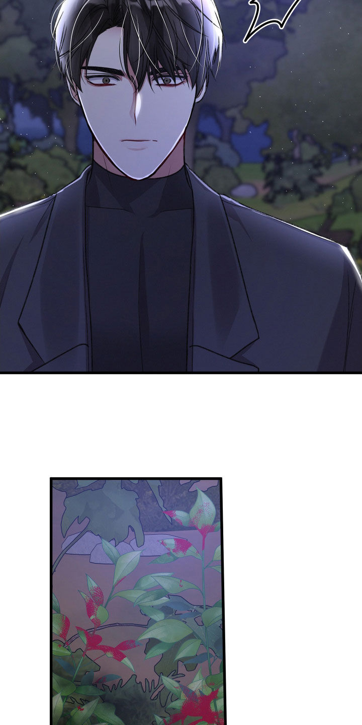专属引导师漫画免费观看未删减漫画,第115章：调虎离山1图