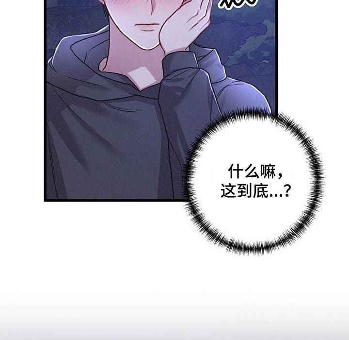 篆书印章生成器漫画,第33章：一起住2图