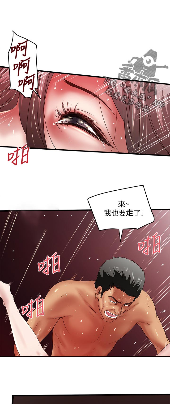 转基因大白菜图片漫画,第52章：彻夜未归1图