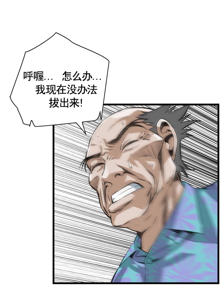 窥视者第二季完结了吗漫画,第66话2图