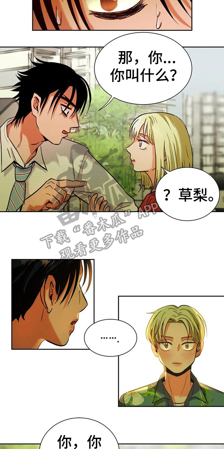 复生白猫漫画,第5章：离谱的状况2图