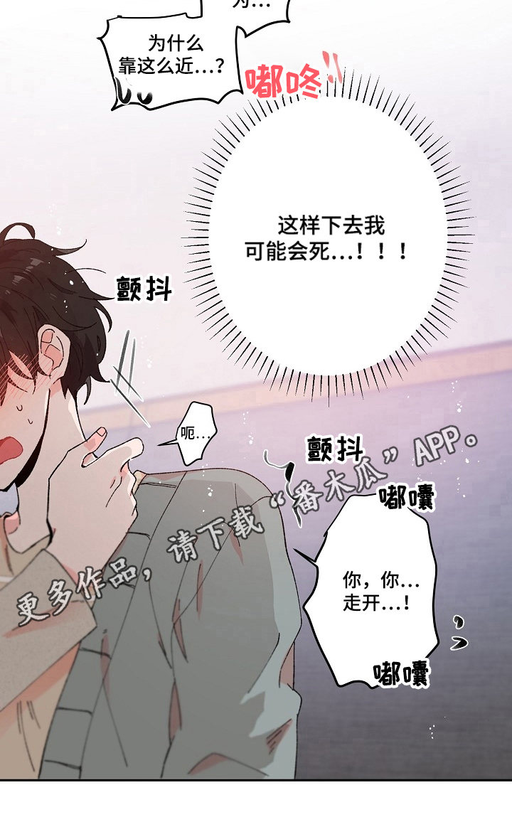 一个人可以喜欢两个人吗漫画,第7章：牵手1图