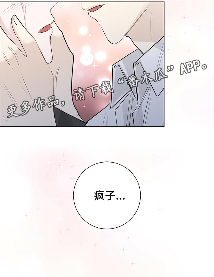 耀眼的光环解释漫画,第25章：表白2图