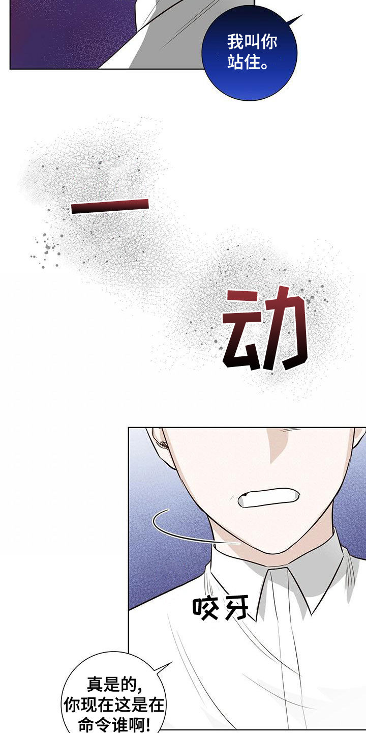 耀眼的光环解释漫画,第43章：站住2图