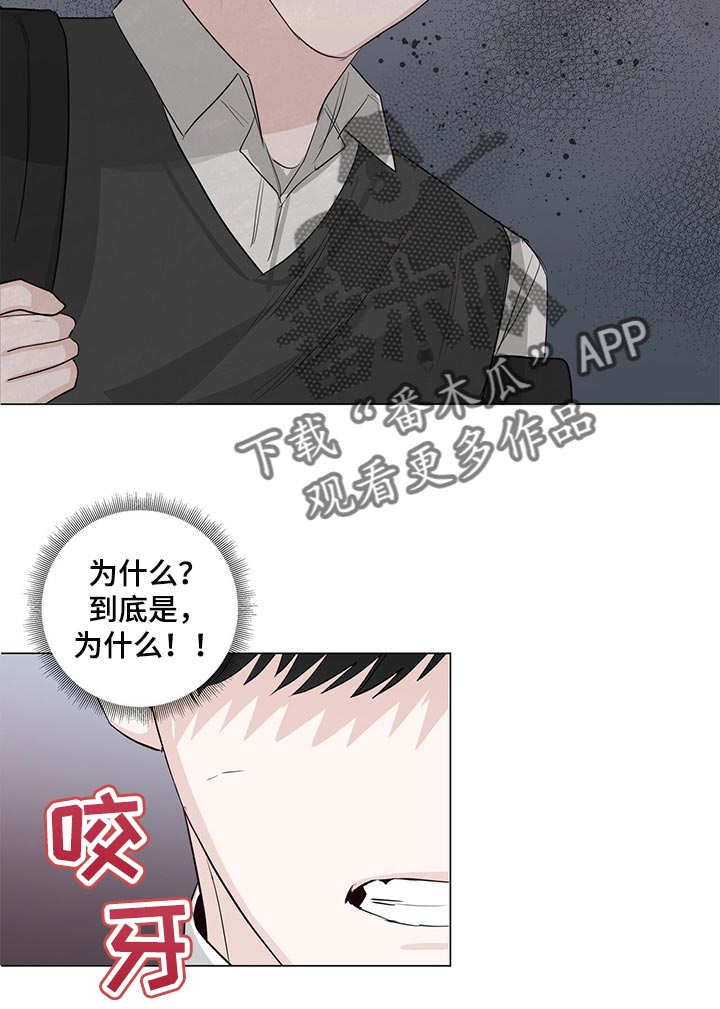 耀眼的光环解释漫画,第25章：表白2图