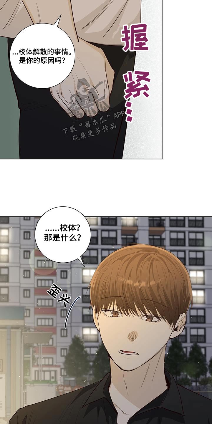 耀眼的光环漫画,第93章：解散的事2图