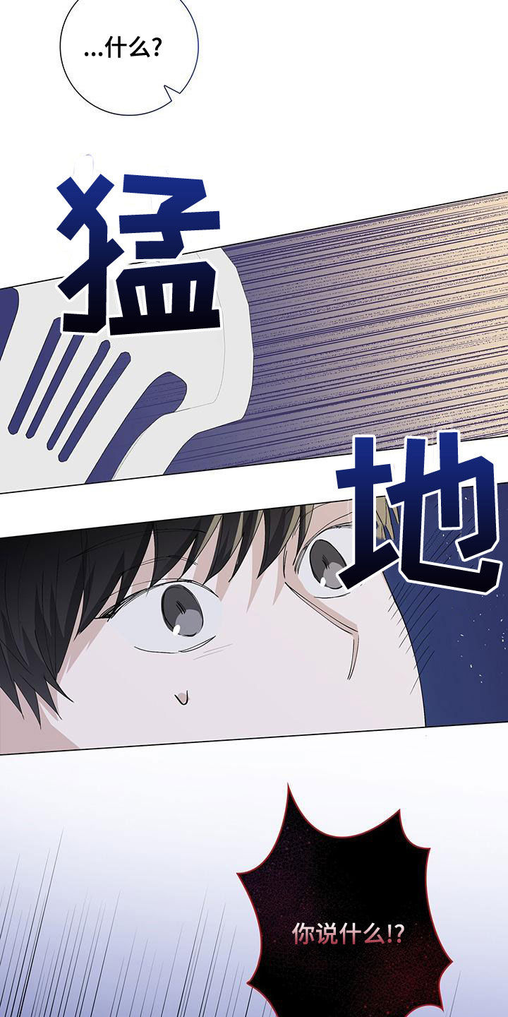 耀眼的光环解释漫画,第51章：喝酒1图