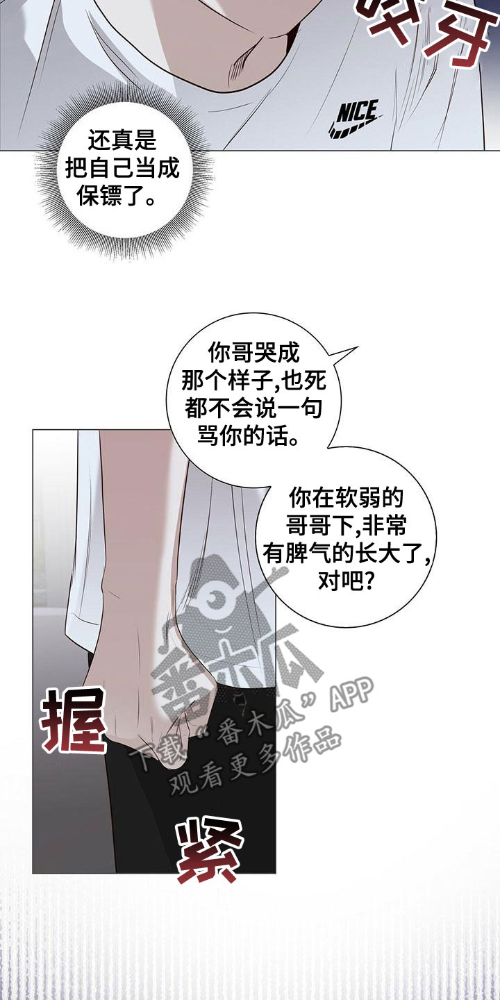 耀眼的光环解释漫画,第47章：执着2图