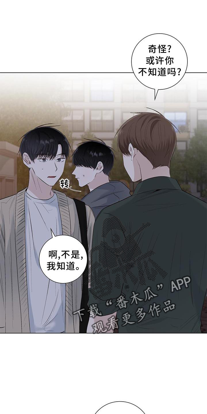 耀眼的光环解释漫画,第66章：邀请1图