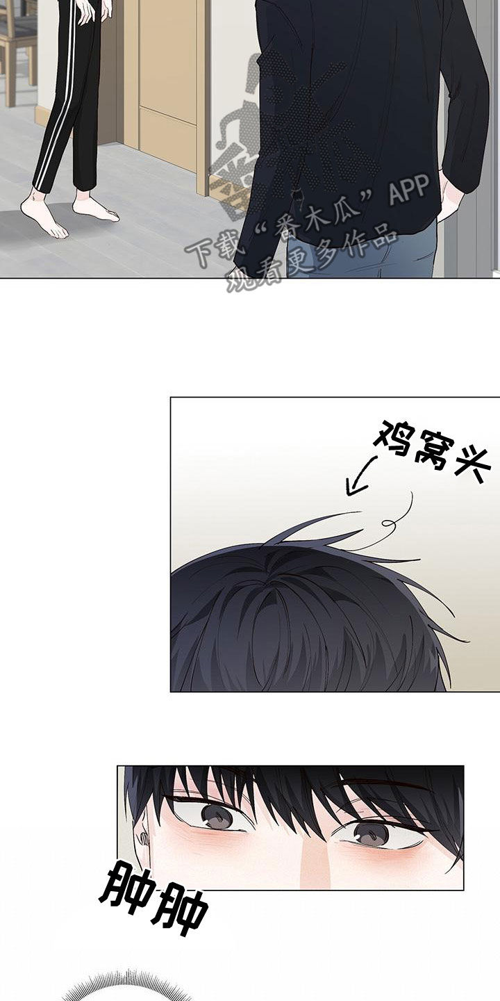 耀眼的光环解释漫画,第50章：互相道歉1图