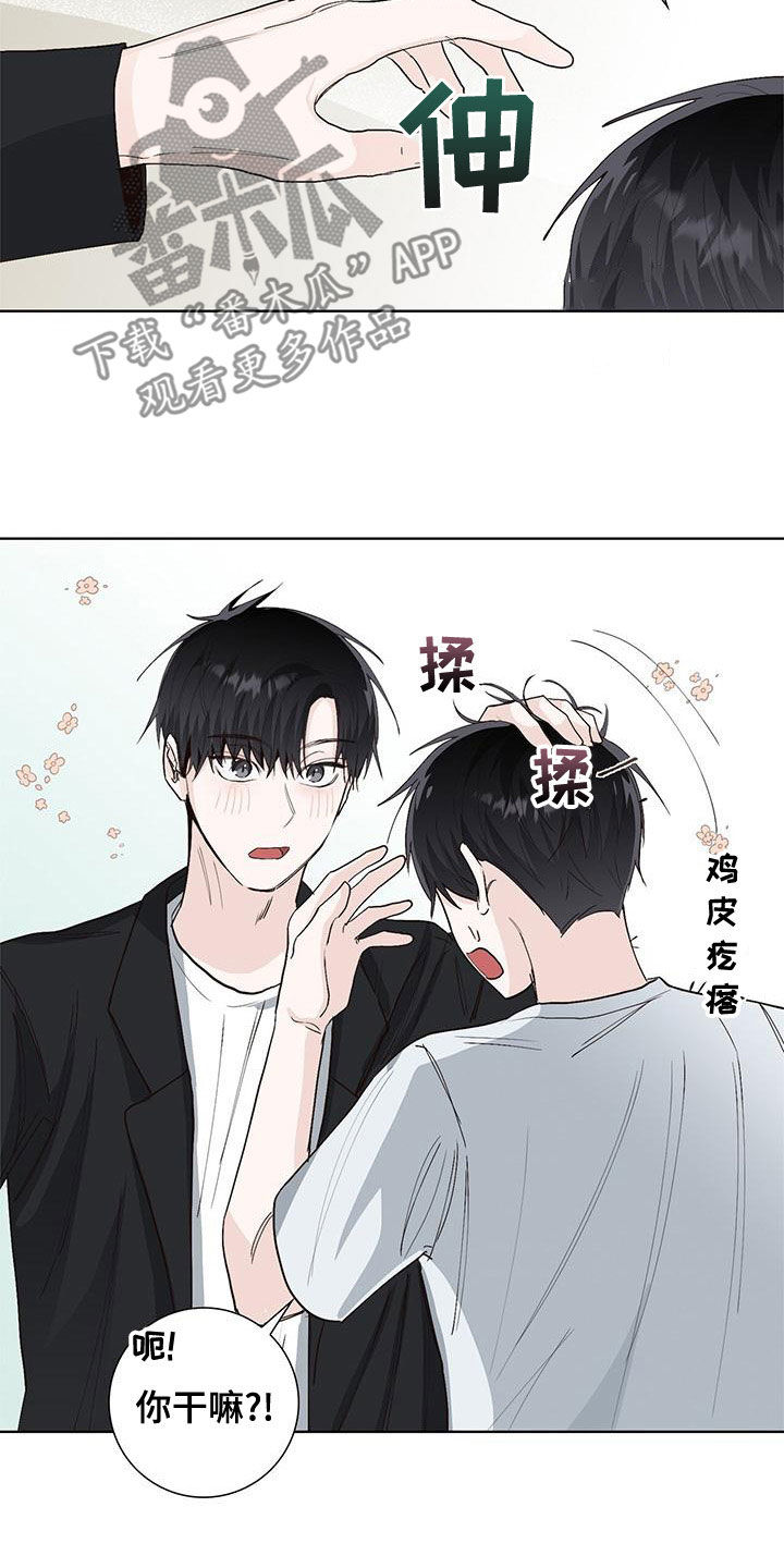 耀眼的光环解释漫画,第50章：互相道歉2图