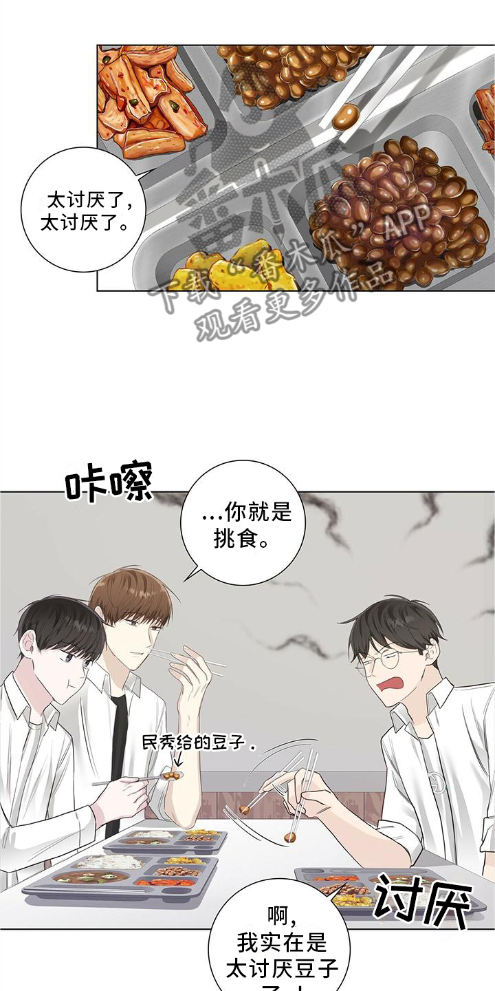 耀眼的光环解释漫画,第26章：和平时一样2图