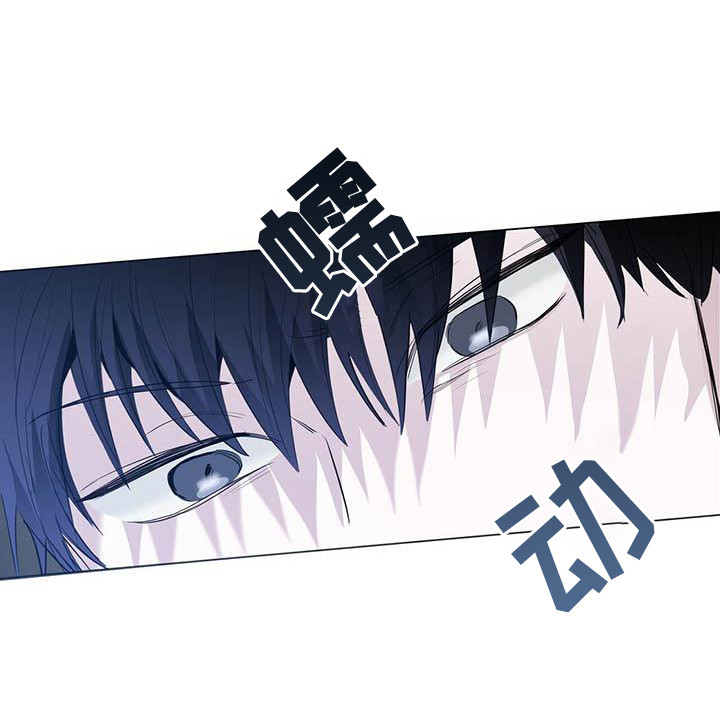 耀眼的光环解释漫画,第12章：目睹1图