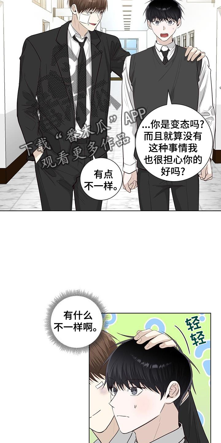 耀眼的光环解释漫画,第98章：一会见2图