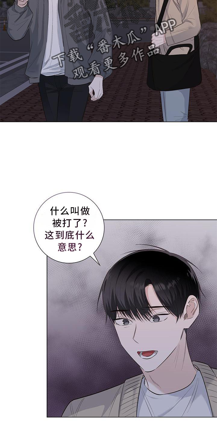 耀眼的光环解释漫画,第66章：邀请1图