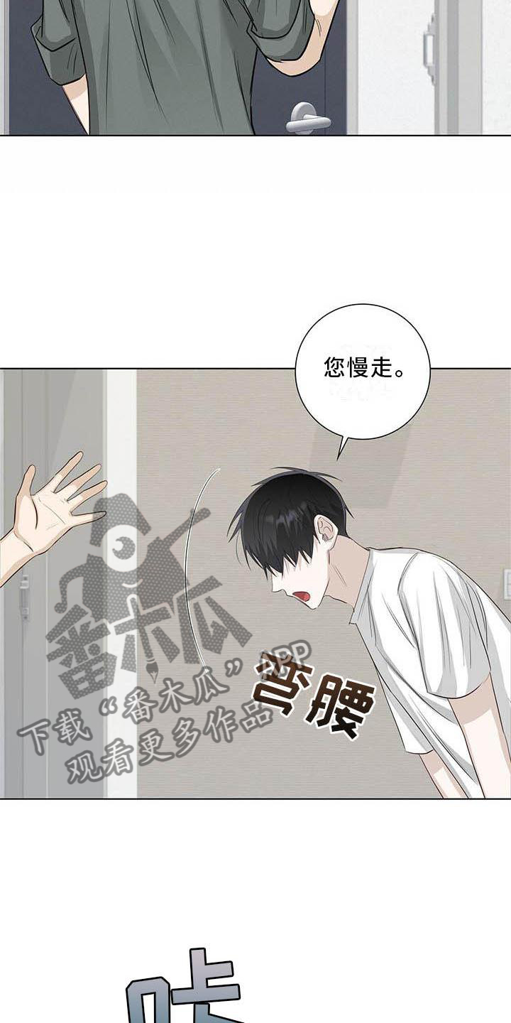 耀眼的光环解释漫画,第37章：明显2图