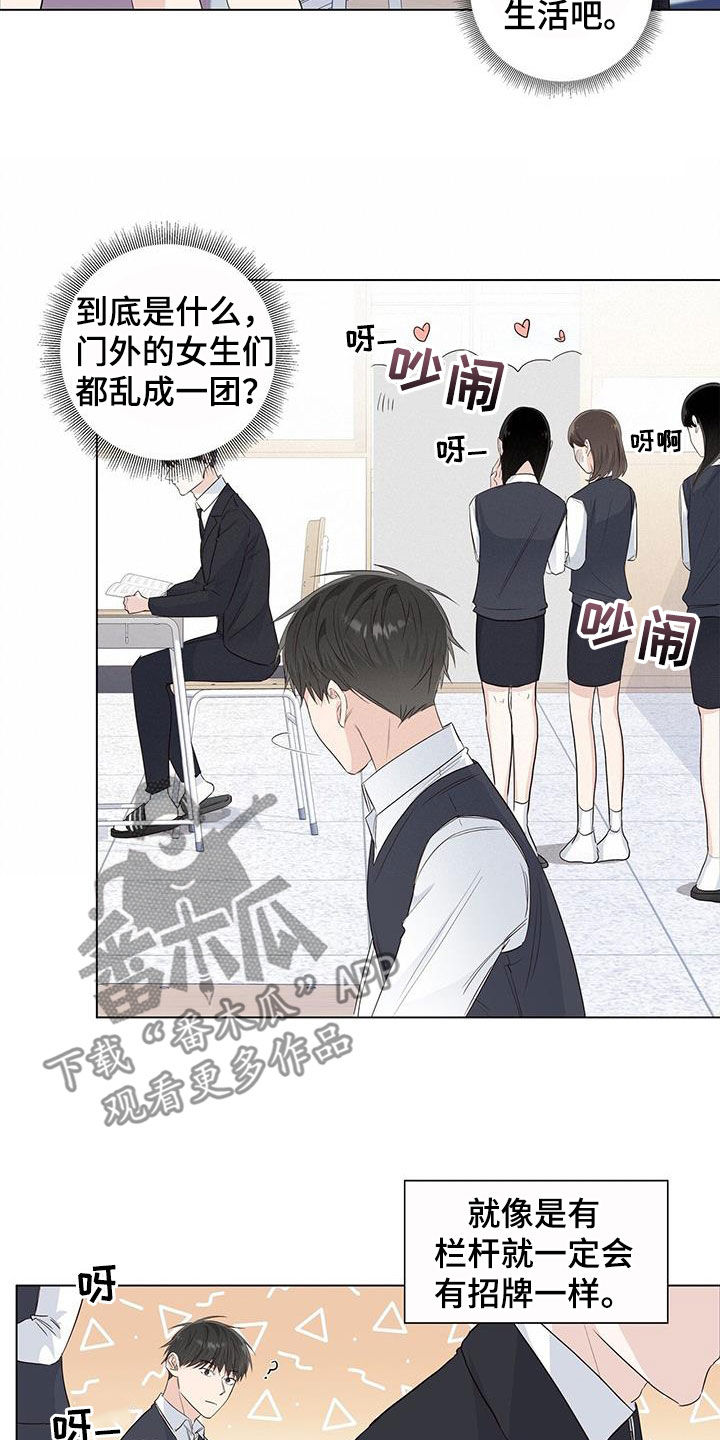 耀眼的光环解释漫画,第70章：【番外】招牌2图