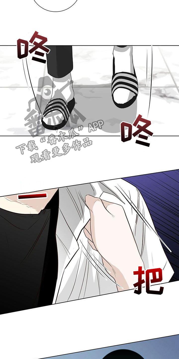耀眼的光环解释漫画,第43章：站住1图