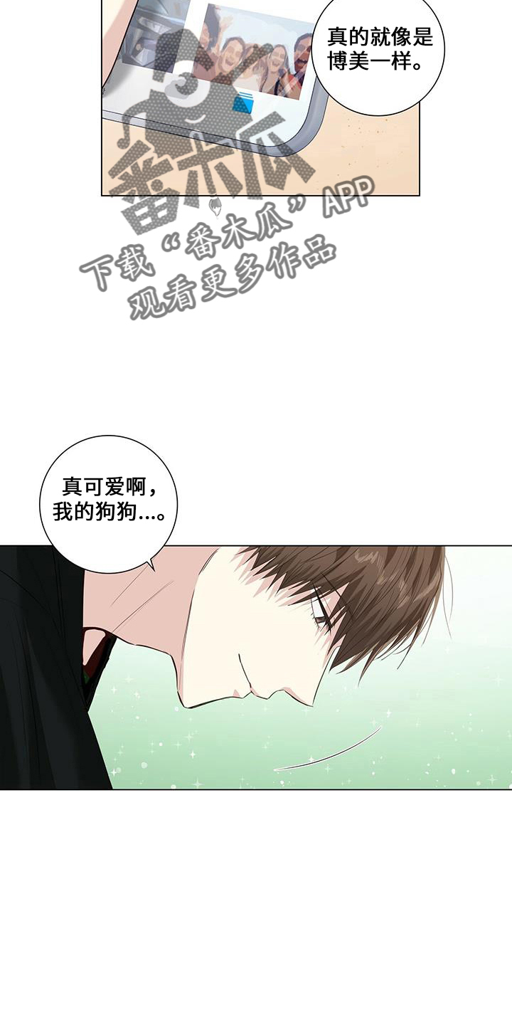 耀眼的光环解释漫画,第35章：消失了2图