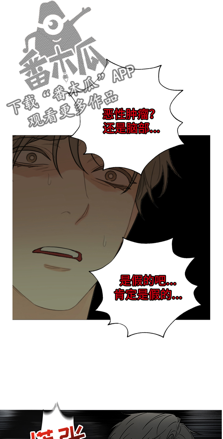囚笼之爱漫画免费在线看漫画,第88章：【暗斗】愿望2图