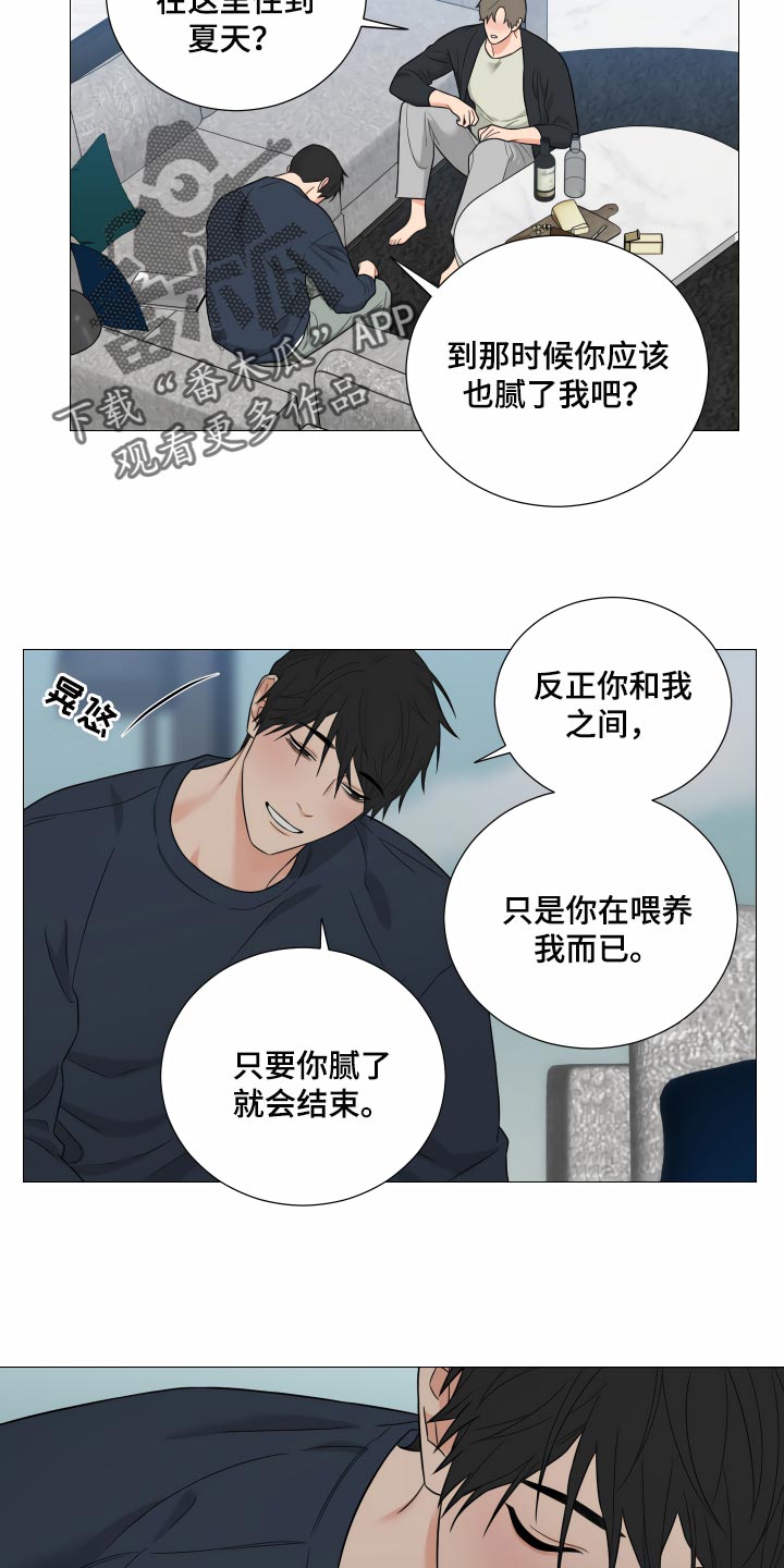 囚笼之爱漫画,第34章：回到原点2图
