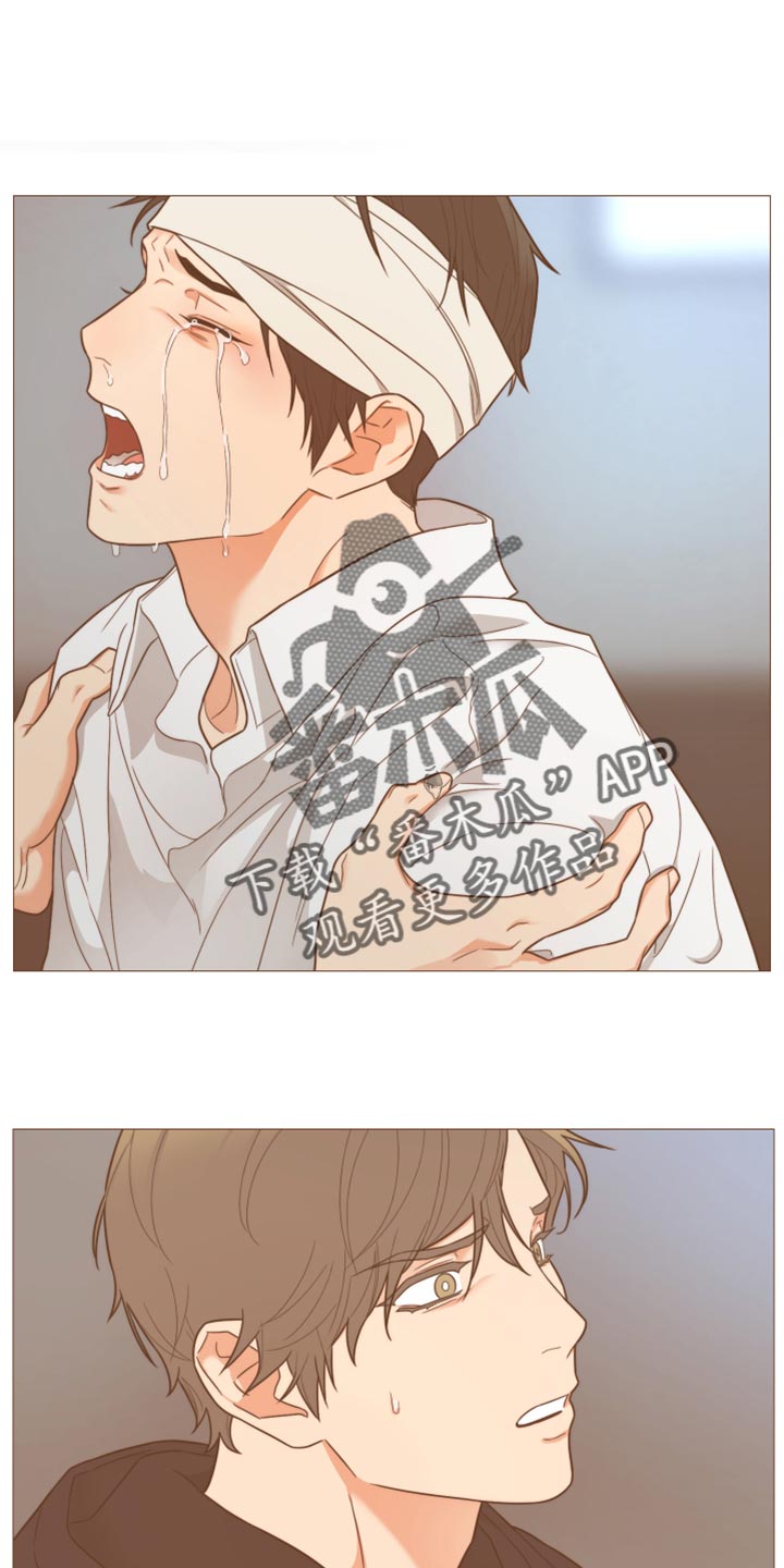囚笼之爱漫画,第43章：你这是什么态度1图