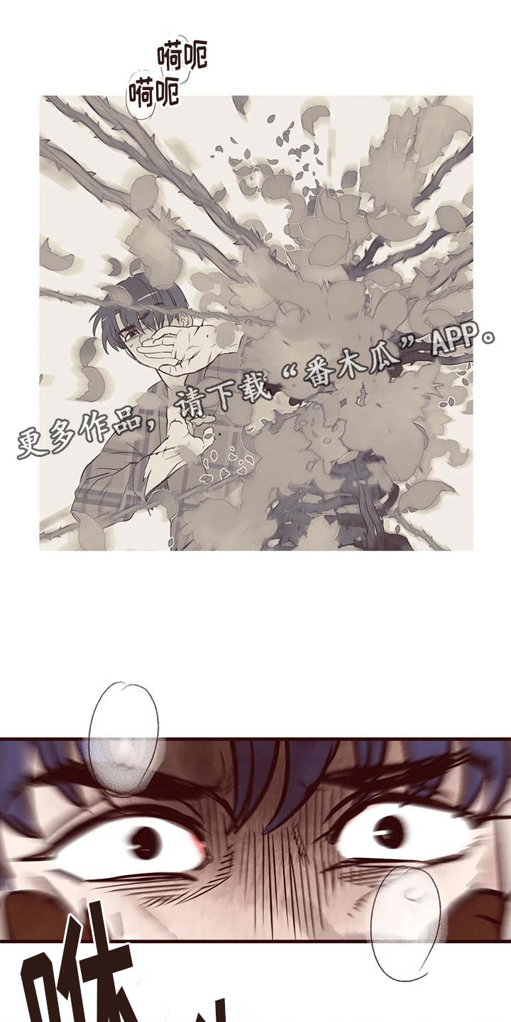我的十二位哥哥漫画,第18章：等我1图