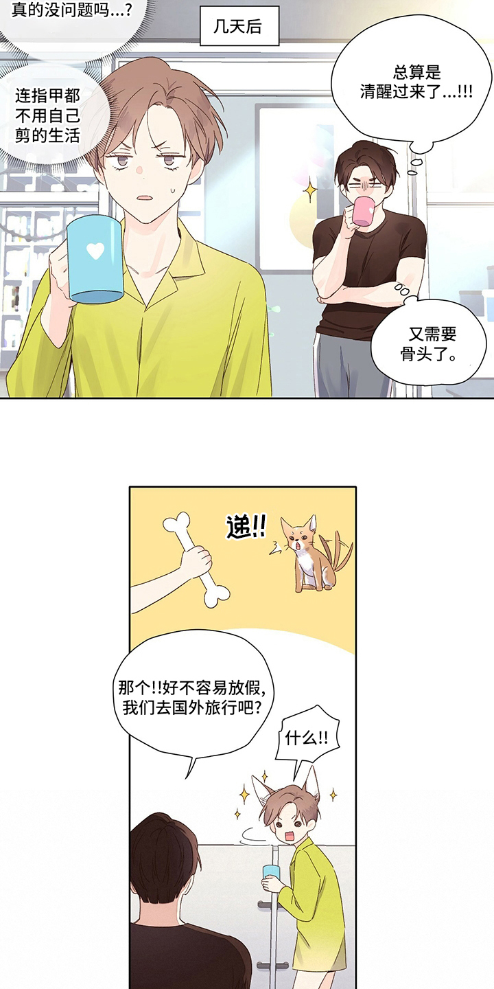 月抛恋人漫画,第87章：别墅1图