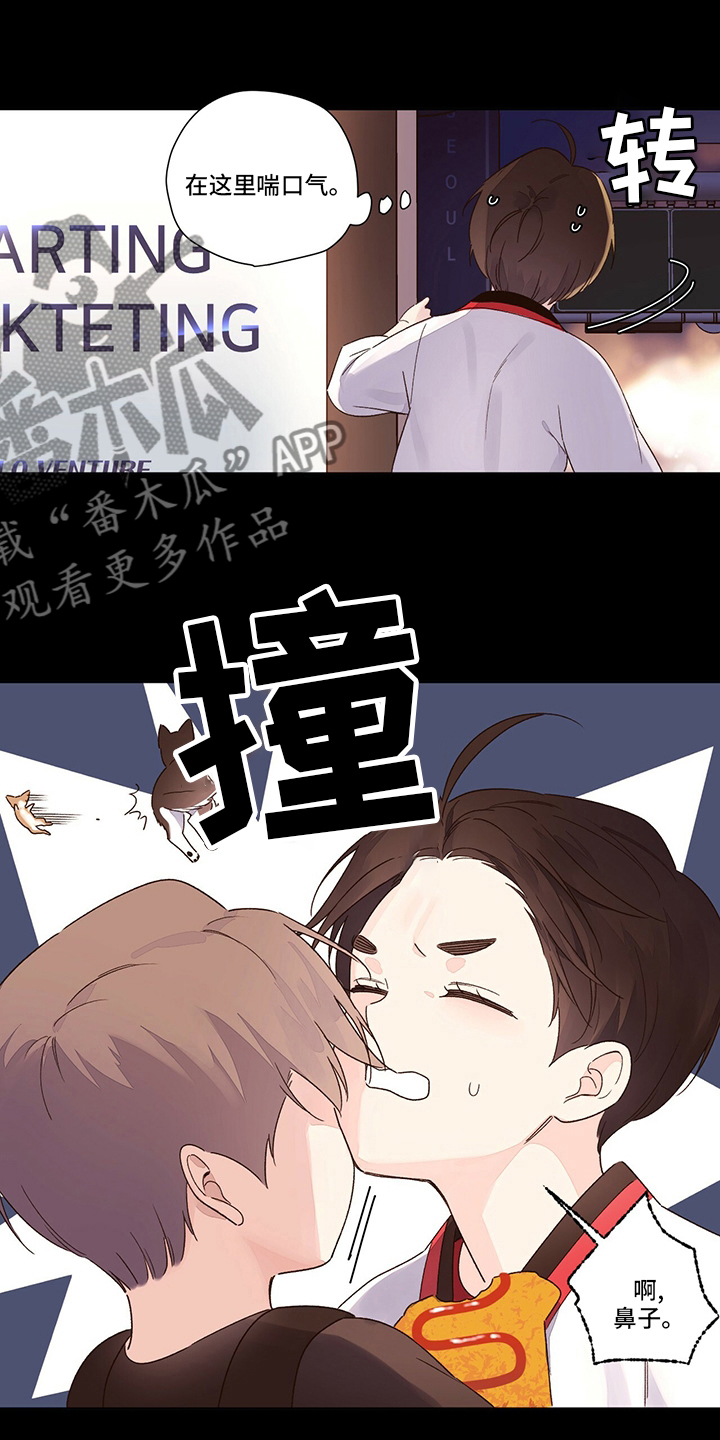月抛价位漫画,第76章：【特别篇】齐瓦瓦狗1图