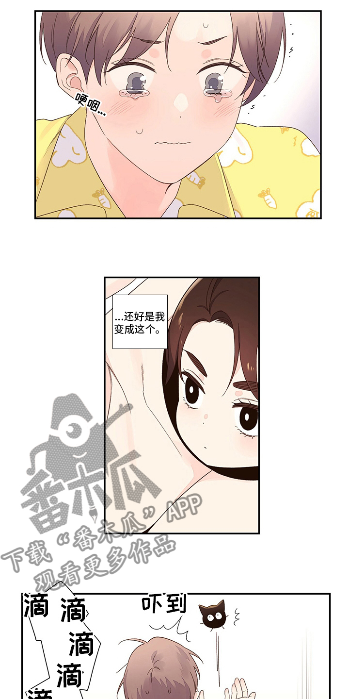 月抛恋人漫画,第75章：【特别篇】玩偶1图