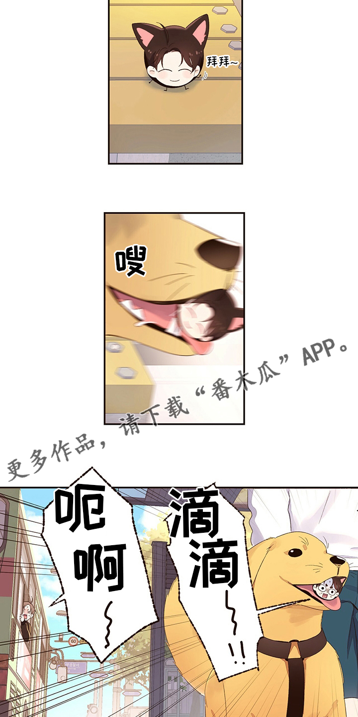 月抛恋人漫画,第75章：【特别篇】玩偶1图