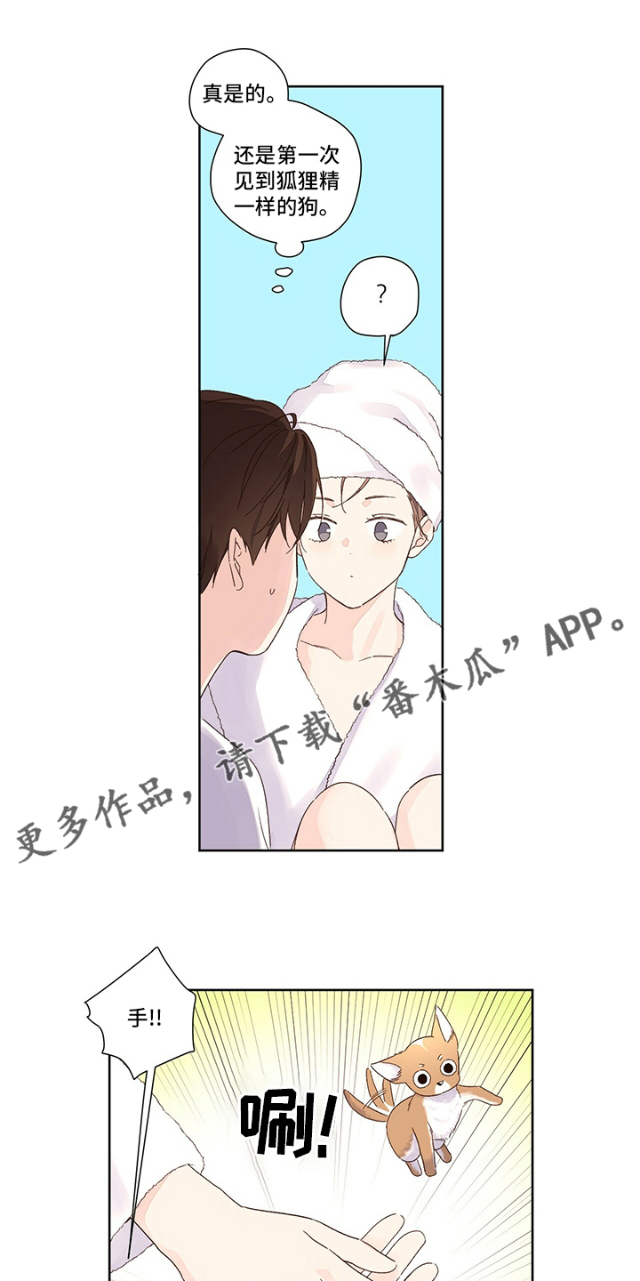 月抛恋人漫画,第87章：别墅1图
