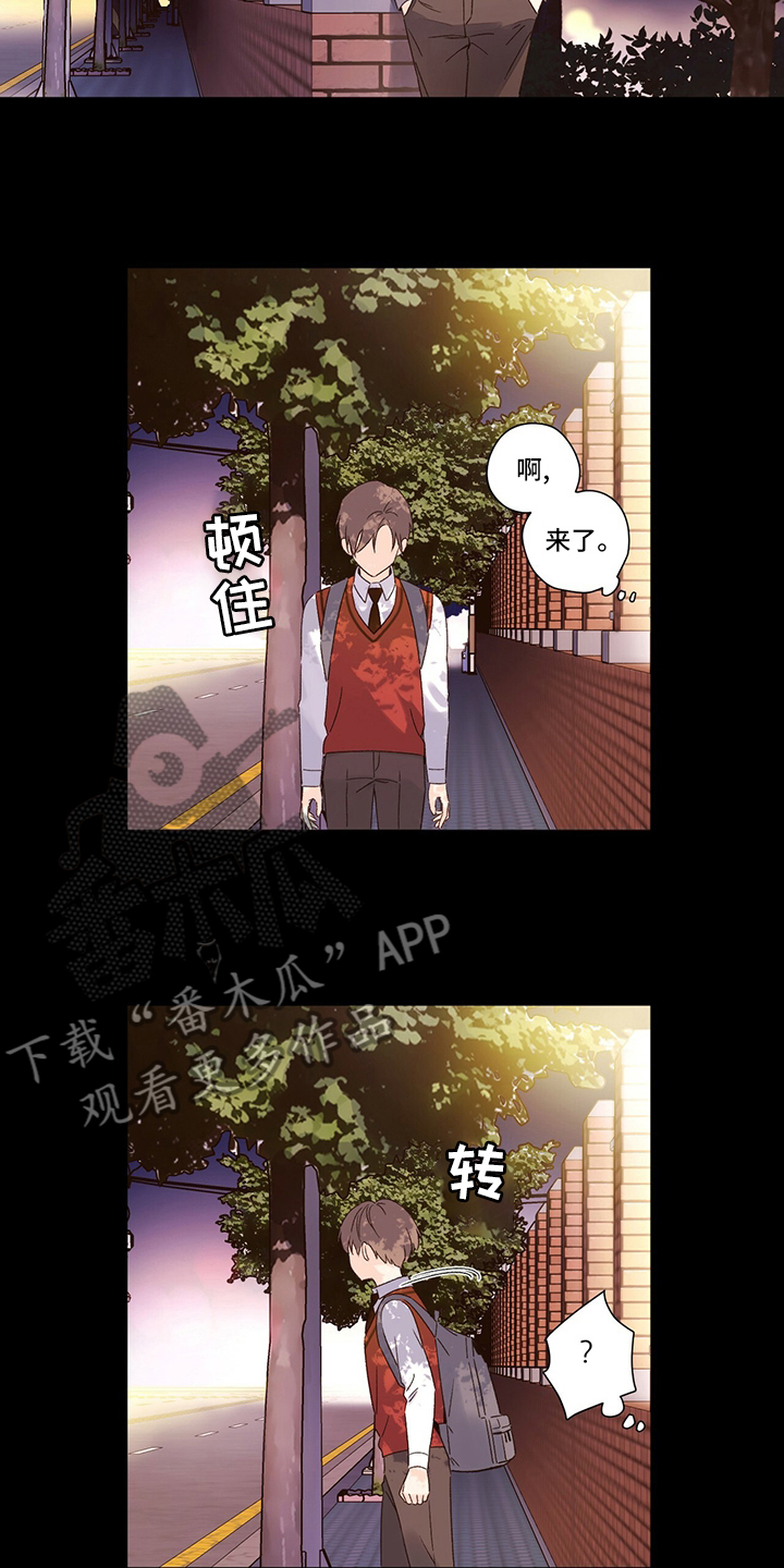 月抛恋人漫画,第84章：软柿子2图