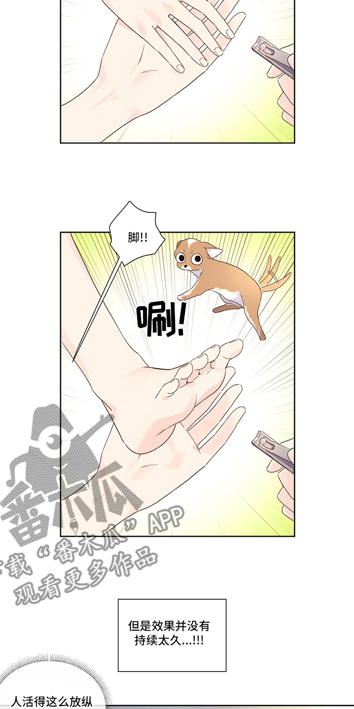 月抛恋人漫画,第87章：别墅2图