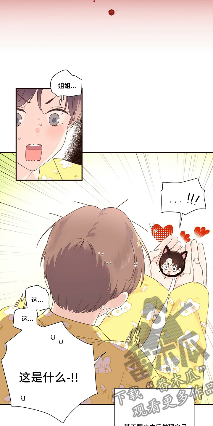 月抛恋人漫画,第75章：【特别篇】玩偶1图