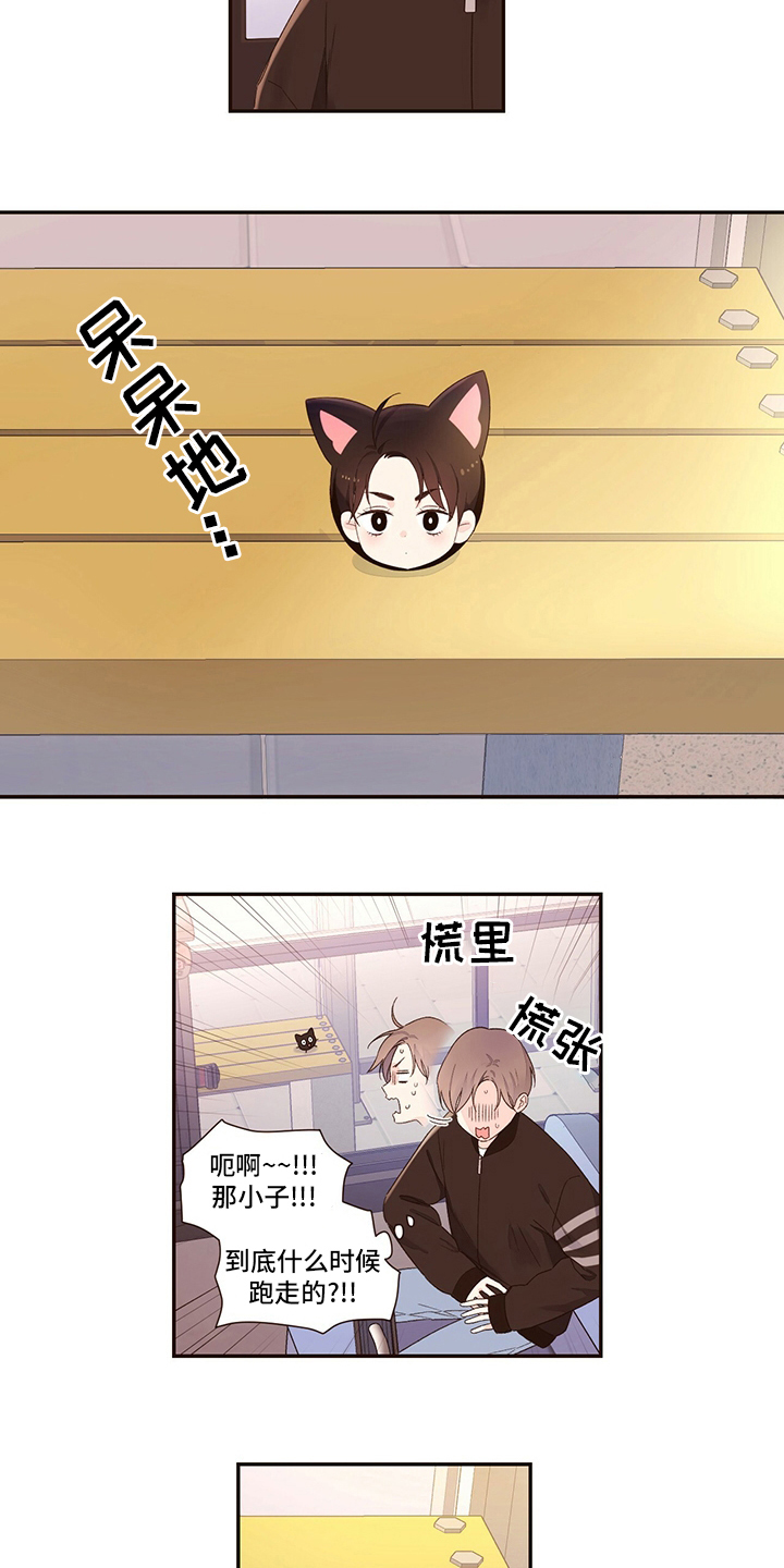 月抛恋人漫画,第75章：【特别篇】玩偶2图
