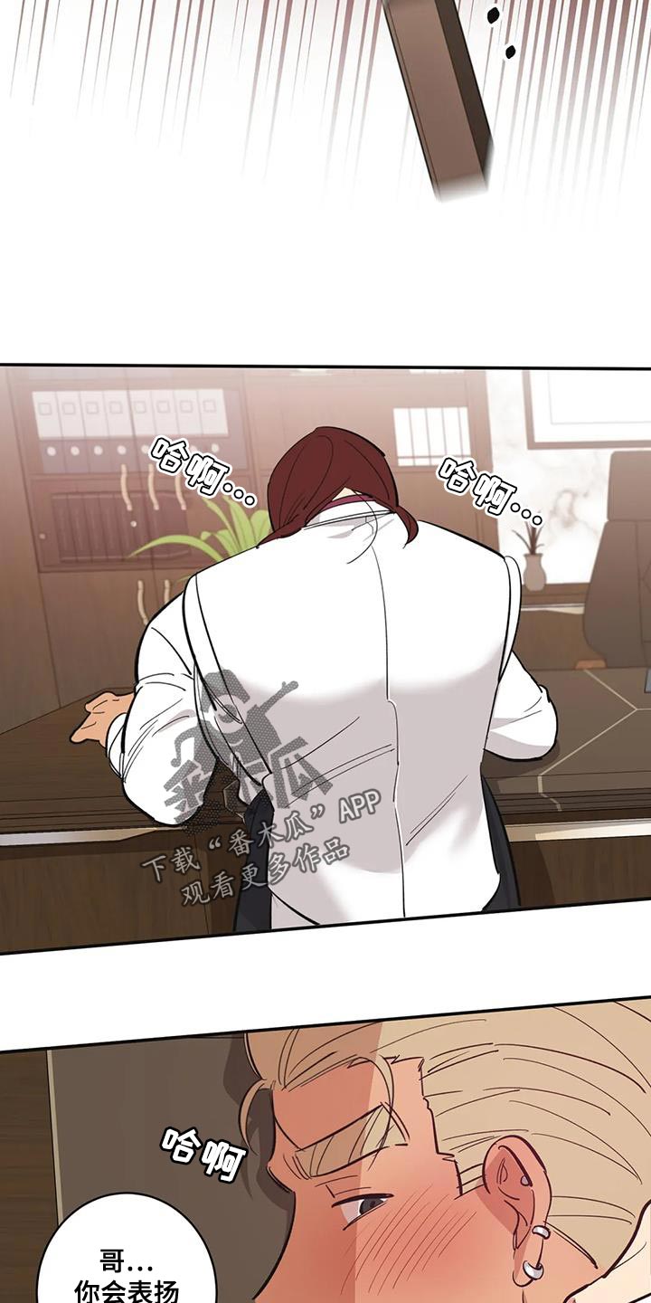 死亡回旋txt漫画,第40章：表扬1图