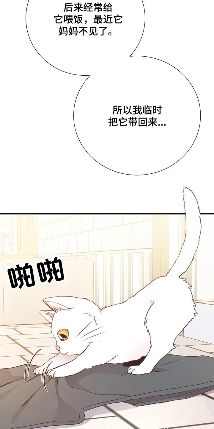 美妙旋律第三季奈露漫画,第51章：回国1图