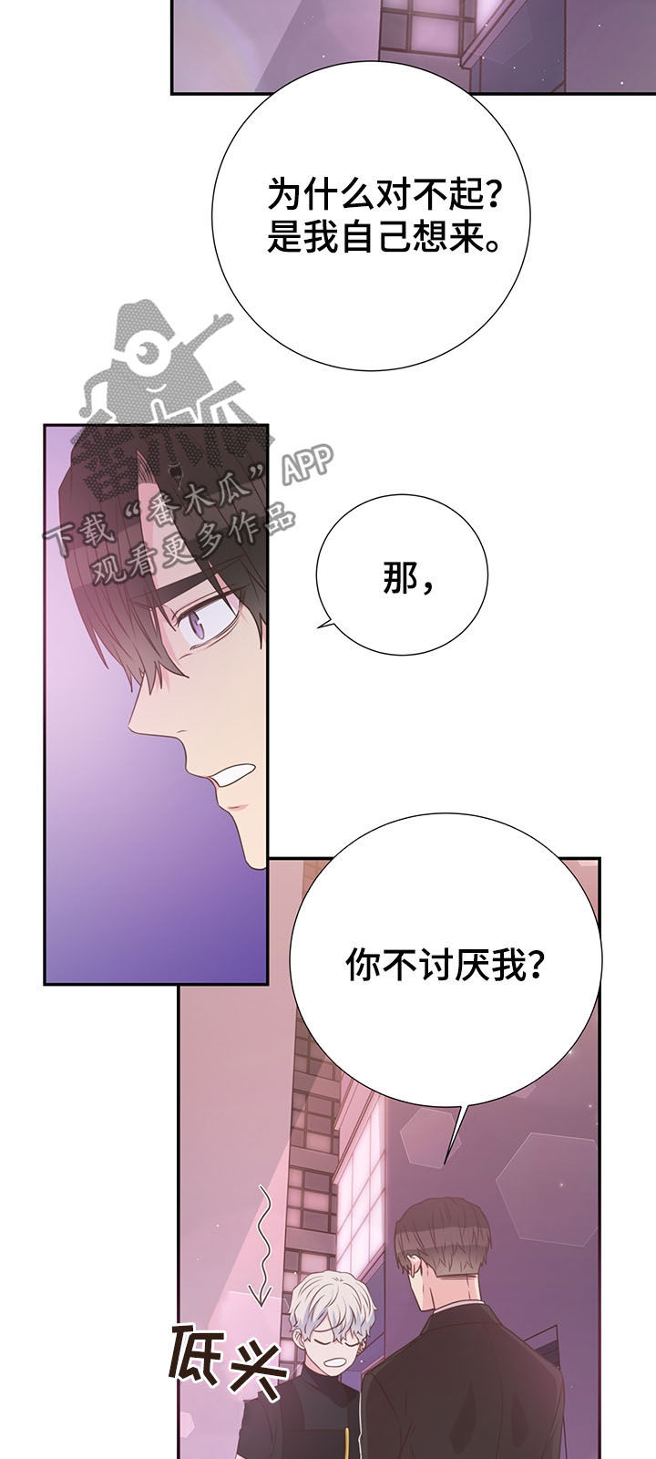 美妙旋律彩虹之梦漫画,第38章：坦白2图