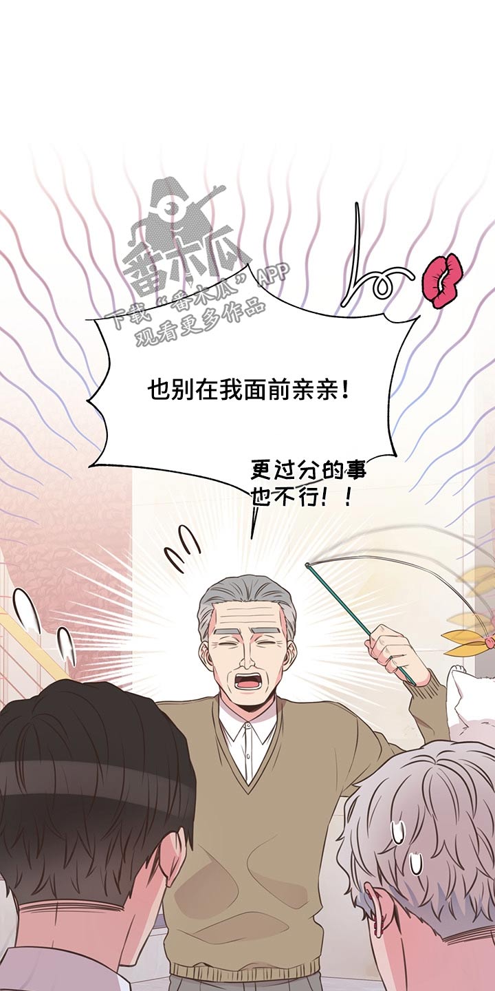 美妙的奇遇初恋漫画,第64章：不想去2图